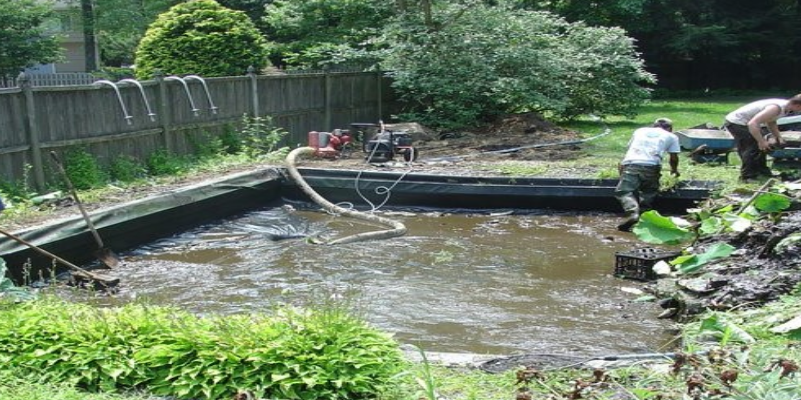 muddy-pond-image