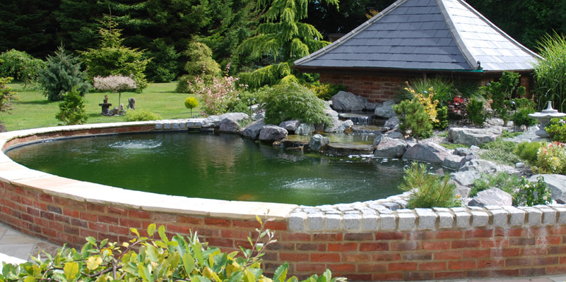 prestige-ponds-pond-image