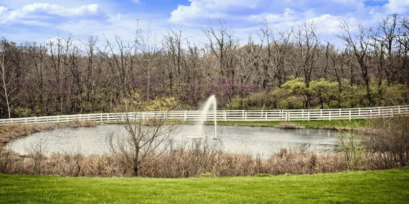 wildlife-ponds-image